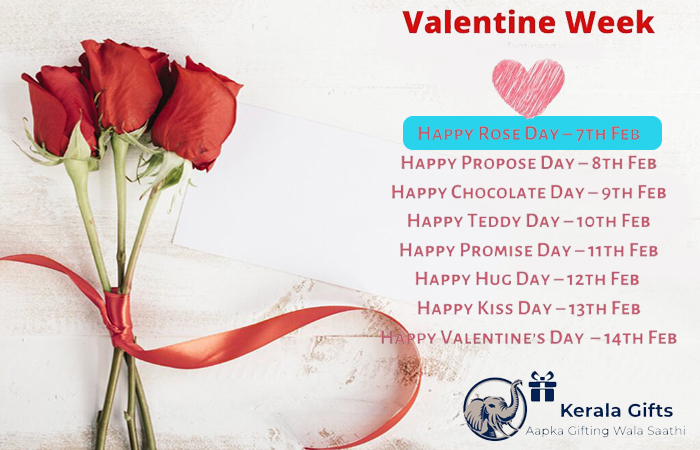Valentine's Week 2023: When is Rose Day? Know Significance of Different Colored Roses