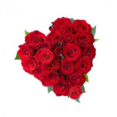 Red Roses Heart