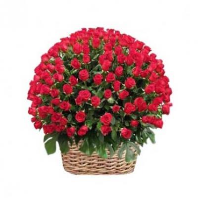 500 Red Roses Basket