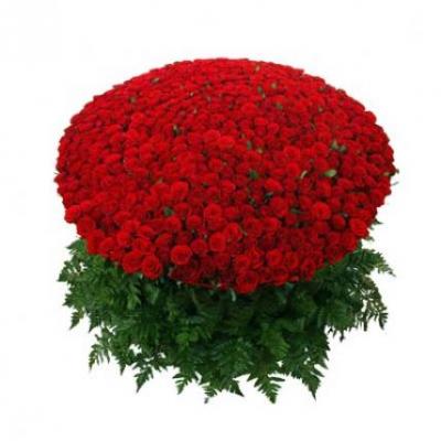 1000 Red Roses Basket