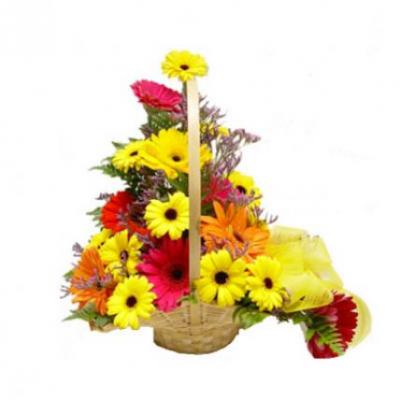 Mixed Gerbera Basket