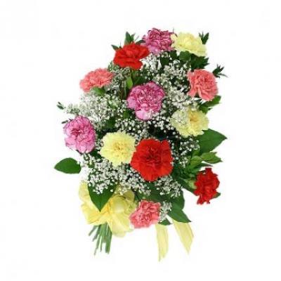 Mixed Carnation Bouquet