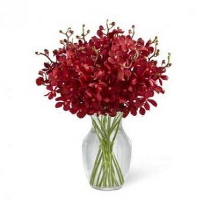 Red Orchid Vase