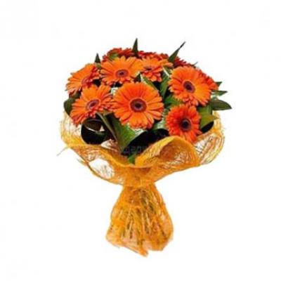 Orange Gerbera Bouquet