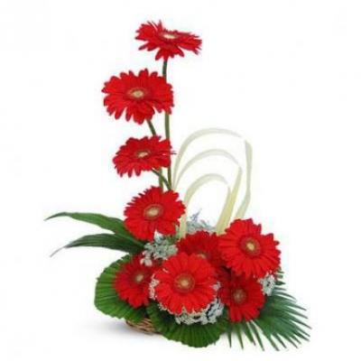 Red Gerbera Basket