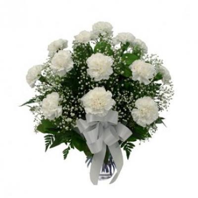 White Carnation Vase