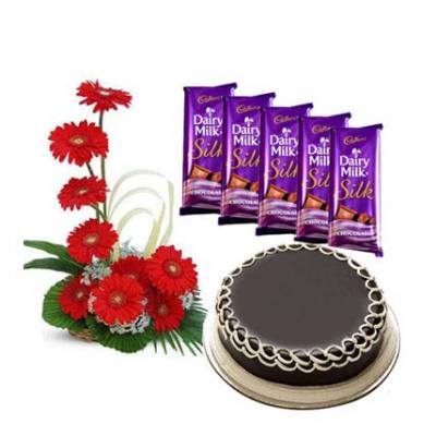 Gerbera, Chocolate With Cake