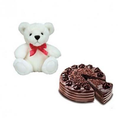 Teddy With Choco Chip Cake