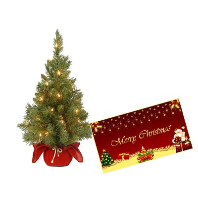 Christmas Tree With Christmas Greeting Card