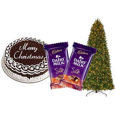 Christmas Chocolate Cake with Christmas Tree & Dairy Milk Silk