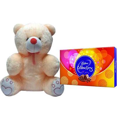 20 Inch Teddy with Celebration