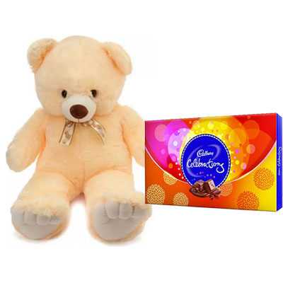 24 Inch Teddy with Celebration