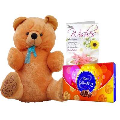 40 Inch Teddy with Celebration & Card