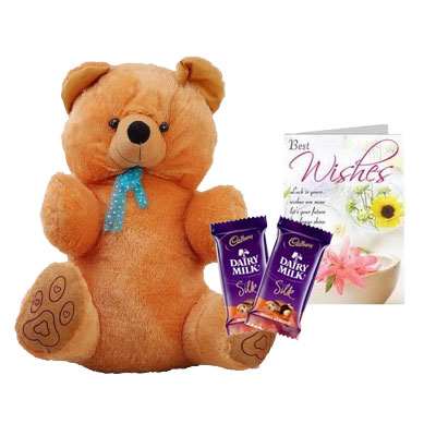 40 Inch Teddy with Silk & Card