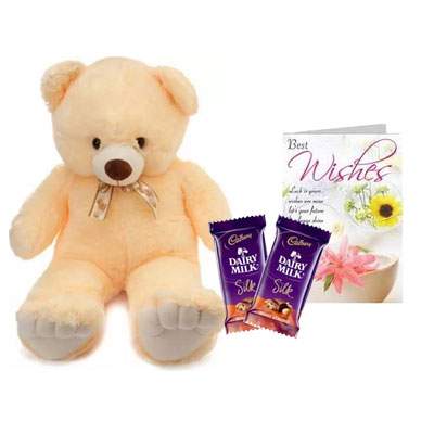 24 Inch Teddy with Silk & Card