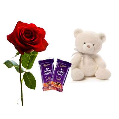 Rose with Silk & Teddy